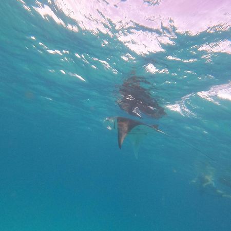 Beach Veli Ukulhas Island Ngoại thất bức ảnh