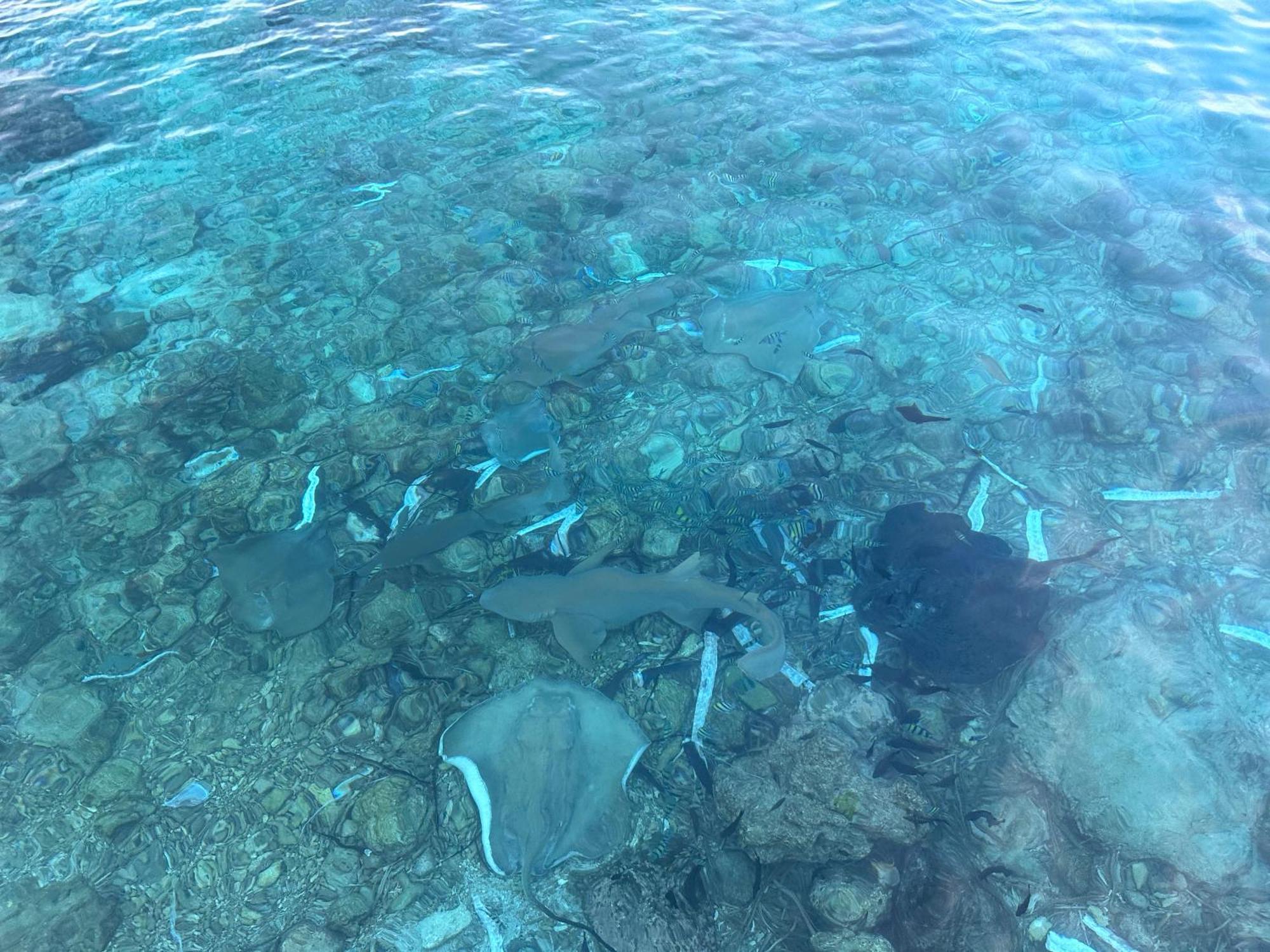 Beach Veli Ukulhas Island Ngoại thất bức ảnh
